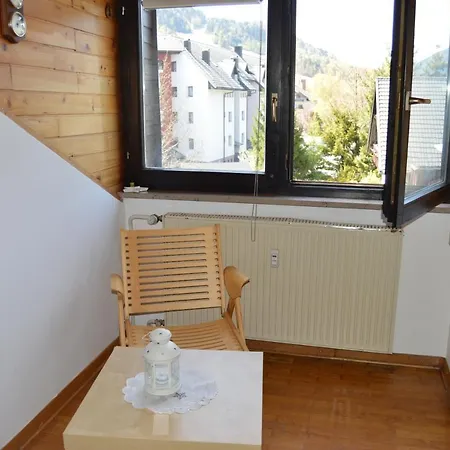 Viki Kranjska Gora