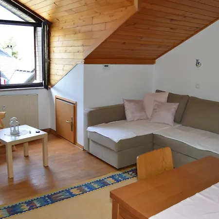 Viki * Kranjska Gora